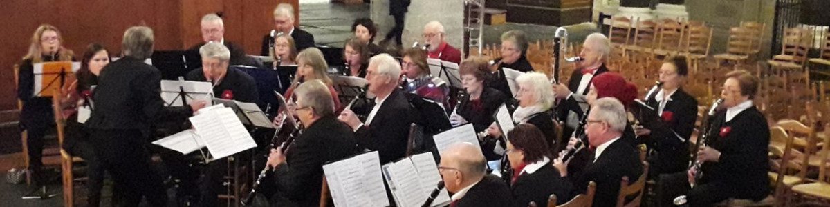 Haarlems Clarinet Choir (HCC)